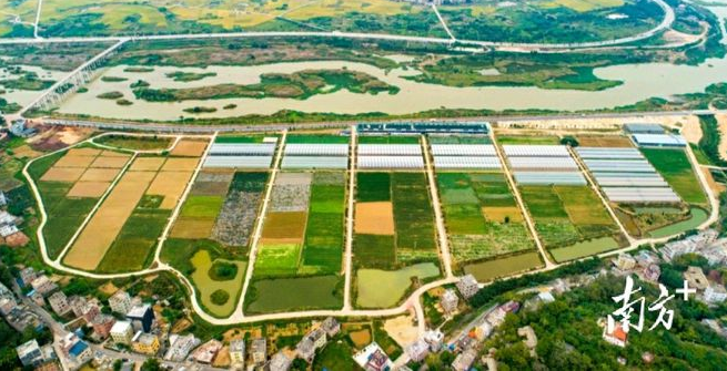 總投資2億元，梅州五華縣蔬菜産業園建設項目正式開工